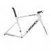 2023 Specialized Remco's Reign Celebration Tarmac Frameset